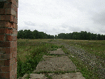 Остатки насыпи в районе деревни Кузнецовки